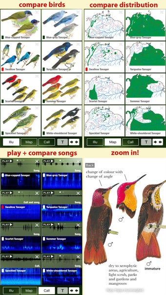 Image 3 for All Birds Trinidad and To…