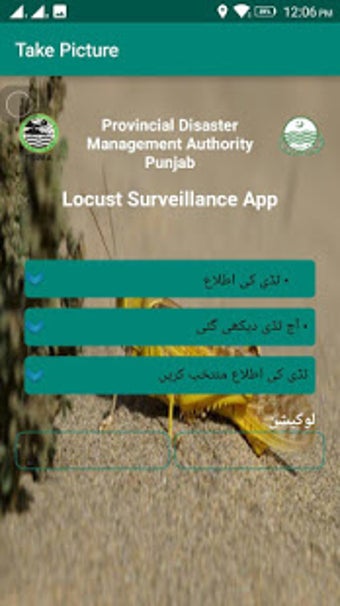 Image 2 for Locust Survey - PDMA Punj…