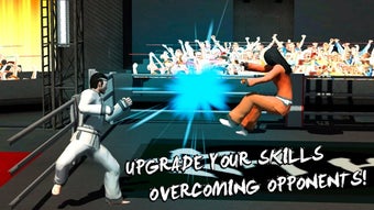 Image 0 for Karate Do Fighting Tiger …