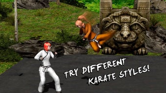 Image 3 for Karate Do Fighting Tiger …