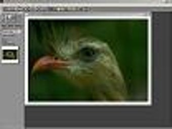 Image 0 for Picture Window Pro (64-bi…