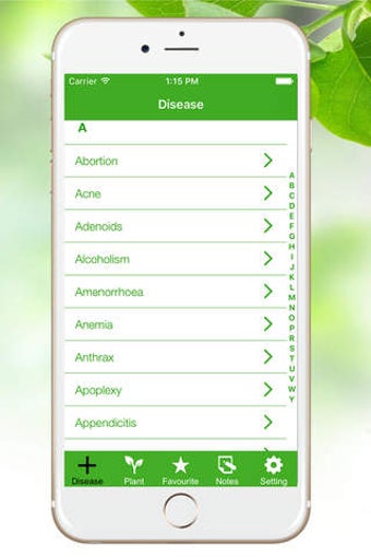 Image 0 for Natural Ayurvedic Healer …