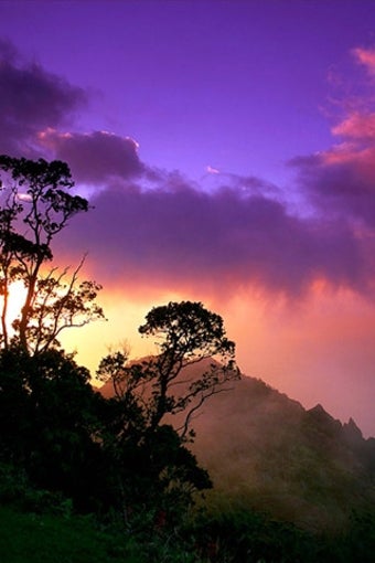 Imagen 0 para Nature Wallpapers Free