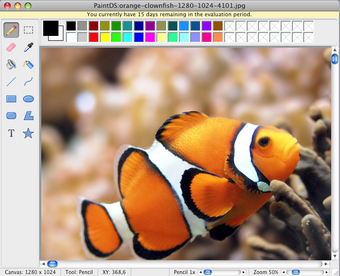 Imagen 0 para PaintDS