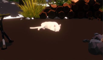 Image 0 for Campfire with Cat