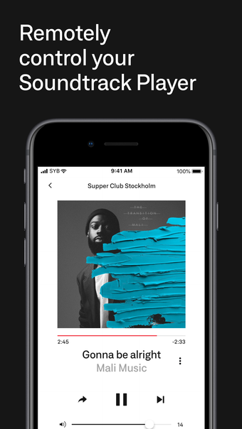 Image 0 for Soundtrack Remote