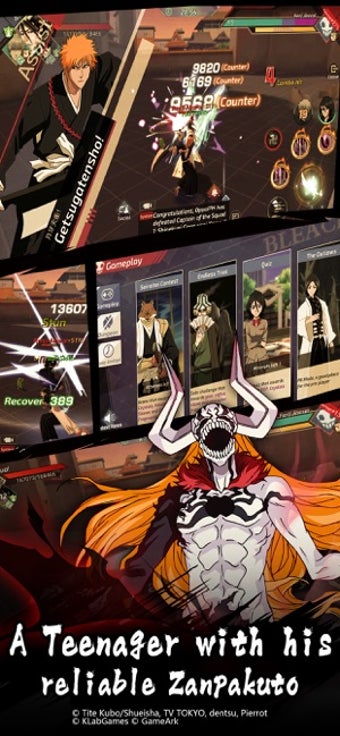 Image 3 for BLEACH Mobile 3D