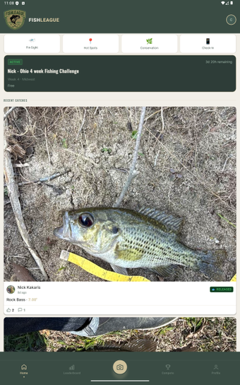 Image 0 for FishLeague
