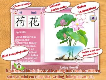 Image 1 for Baby Plants Flowers