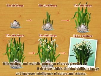 Image 0 for Baby Plants Flowers