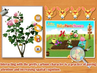 Image 2 for Baby Plants Flowers