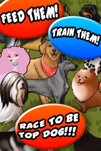 Image 0 for Dog Racer