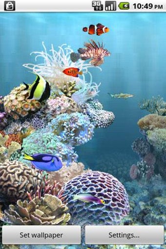 Image 0 for aniPet Aquarium Live Wall…