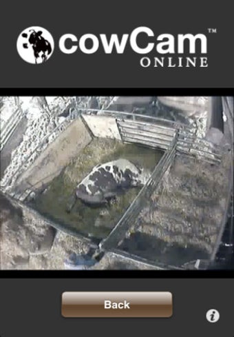 Imagen 0 para cowCam Online