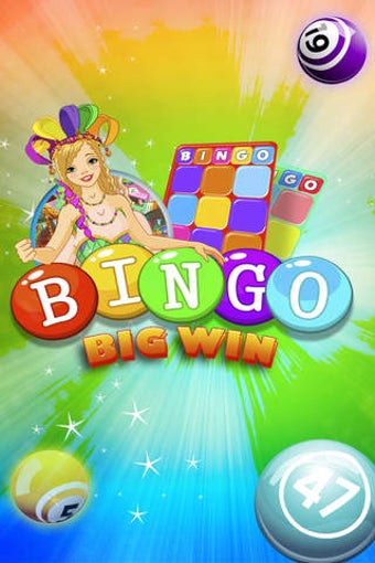 Imagen 0 para Bingo Big Win