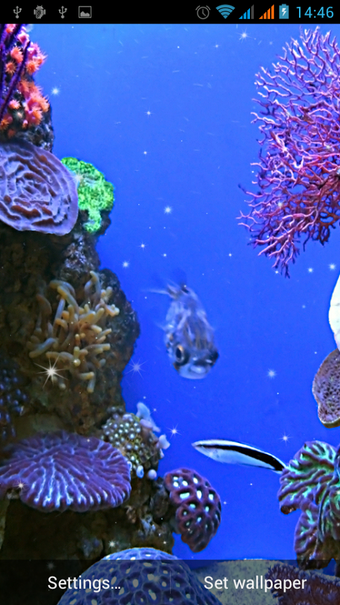 Image 2 for Aquarium Live Wallpaper