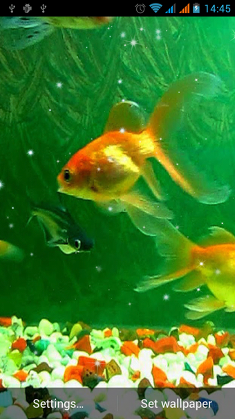 Image 1 for Aquarium Live Wallpaper