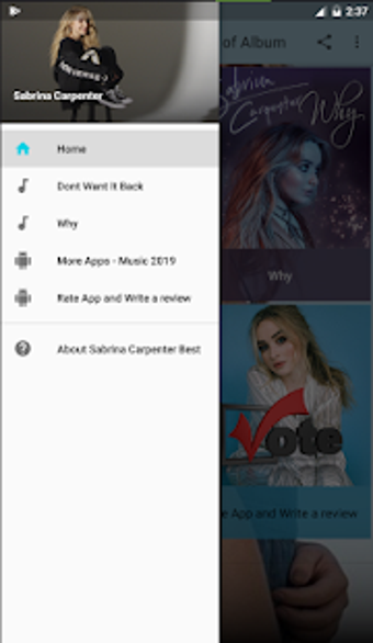 Image 0 for Sabrina Carpenter Best of…