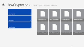 Imagen 1 para BoxCryptor for Windows 8