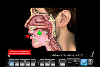 Image 0 for Vowels Central Diphthong