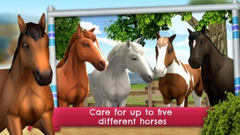 Image 0 for HorseWorld: Show Jumping …