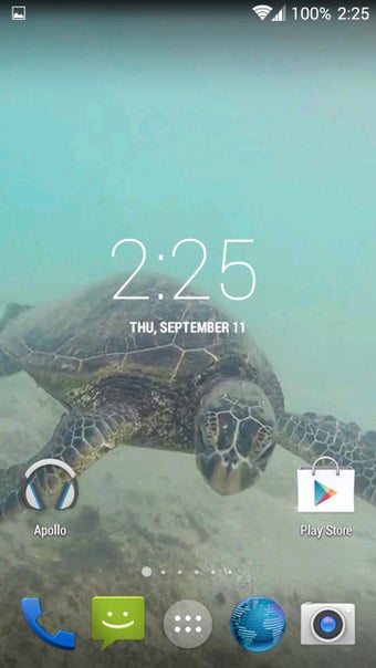 Image 0 for Sea Turtle HD. Wallpaper