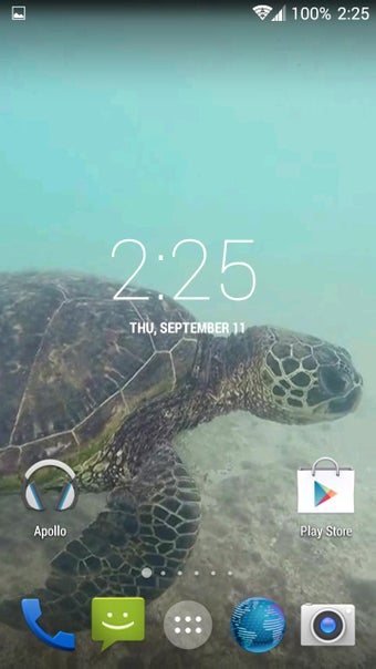Image 1 for Sea Turtle HD. Wallpaper
