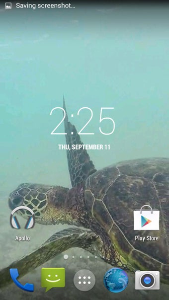 Image 2 for Sea Turtle HD. Wallpaper