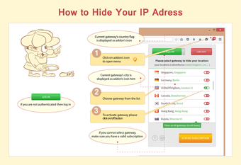 Imagen 0 para Hide My IP VPN (Firefox)