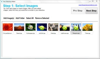 Image 0 for Free Slideshow Maker
