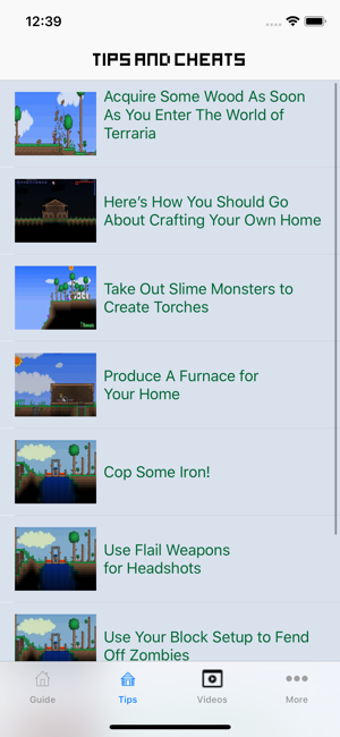 Image 1 for Guide & Wiki for Terraria