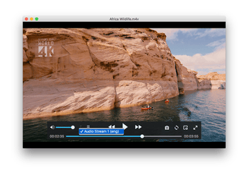 Imagen 3 para Cisdem Video Player