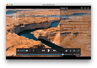Imagen 4 para Cisdem Video Player