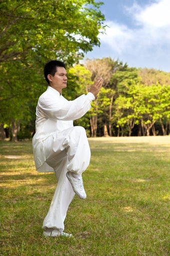 Imagen 0 para Learn Kung Fu Quickly