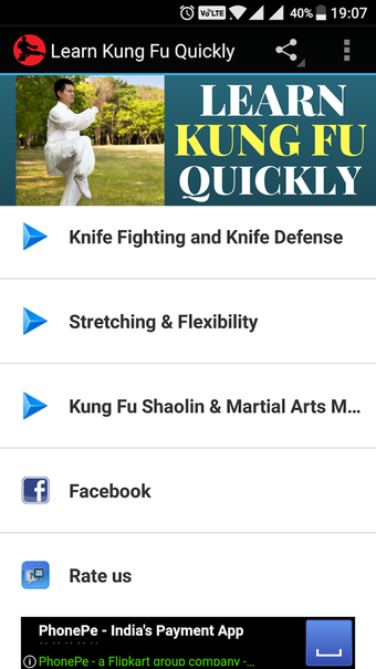Imagen 2 para Learn Kung Fu Quickly