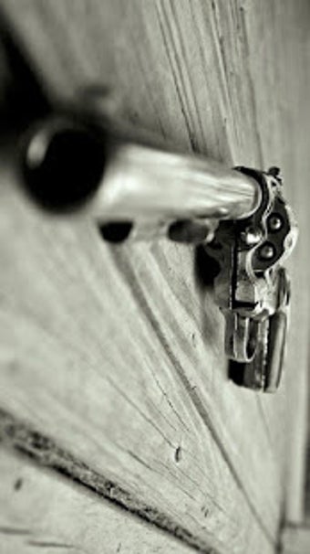 Image 1 for Guns and Weapons Lock Scr…