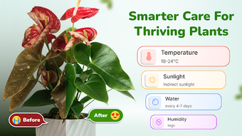 Image 0 for Verda: Plant Identify  Cu…