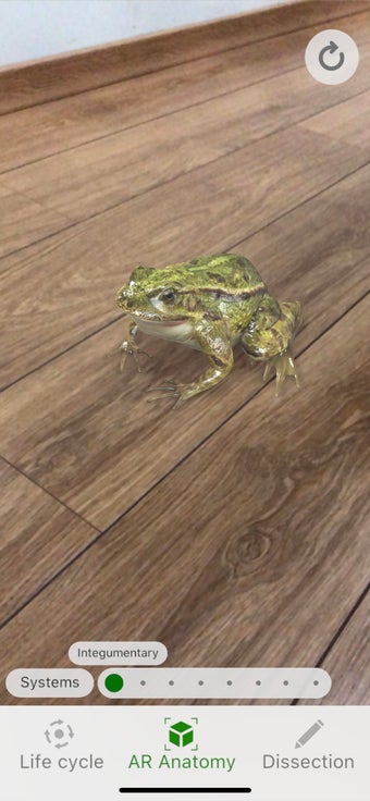 Imagen 0 para Froggipedia