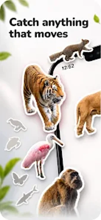 Imagen 0 para Gotcha: Animal Identifier