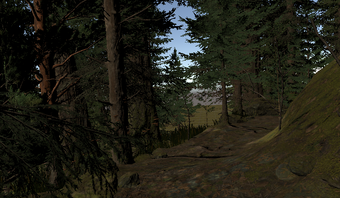 Image 0 for Forest Tech Trails for De…