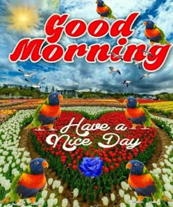 Image 3 for Good Morning Images Gif 2…