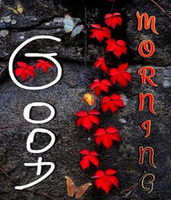 Image 2 for Good Morning Images Gif 2…