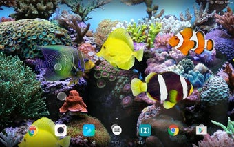 Imagen 0 para Coral Fish 3D Live Wallpa…