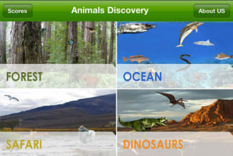 Image 3 for Animal Discovery