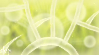 Imagen 0 para Doonaminula Premium
