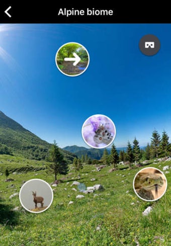Imagen 0 para VR Lessons by ThingLink