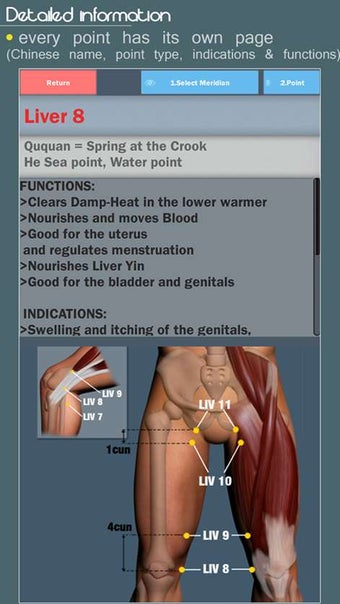 Imagen 2 para Easy Acupuncture 3D for W…