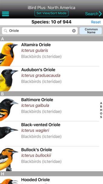 Image 0 for iBird Plus Guide to Birds