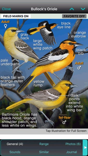 Image 1 for iBird Plus Guide to Birds