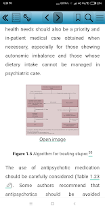 Image 0 for Maudsley Prescribing Guid…